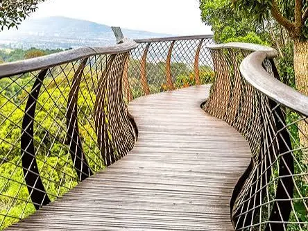 The Boomslang tree-canopy walkway at Kirstenbosch