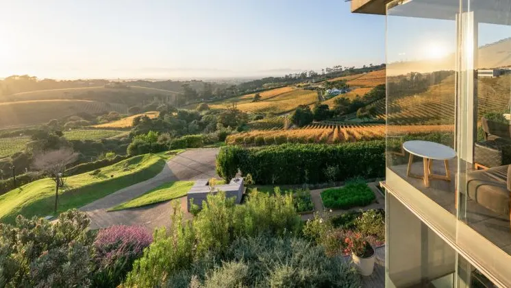 A wine estate tasting room in Constantia