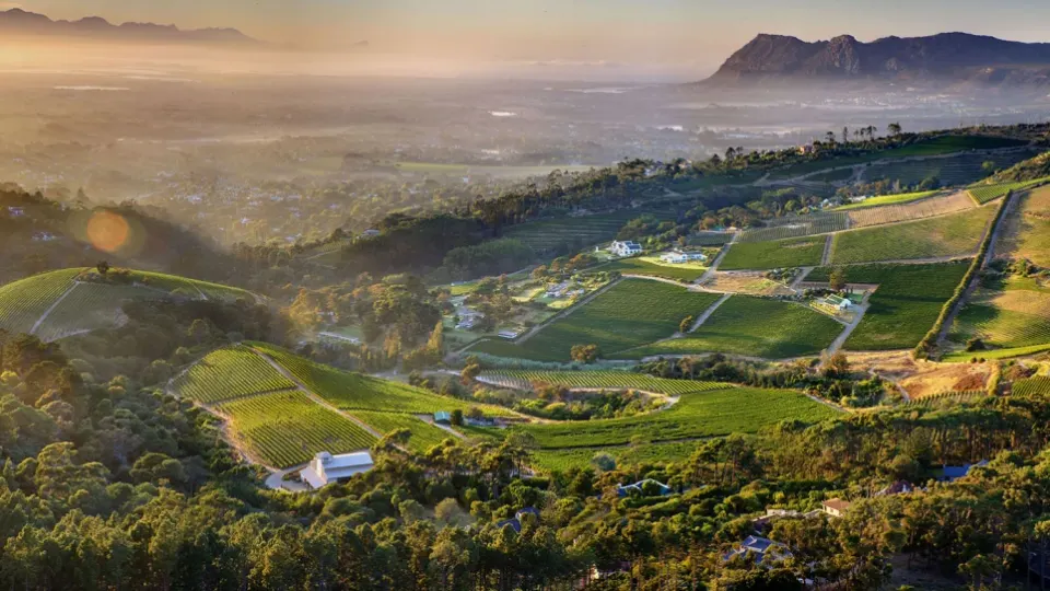 The Constantia valley from the air